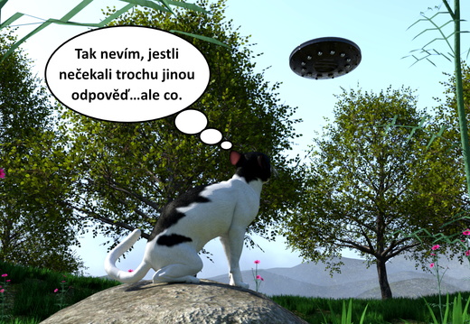 cat and ufo 03