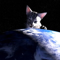 Kočka na zeměkouli