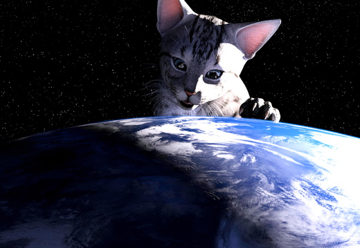 Kočka na zeměkouli