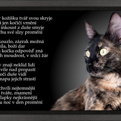 Obrázky s básní